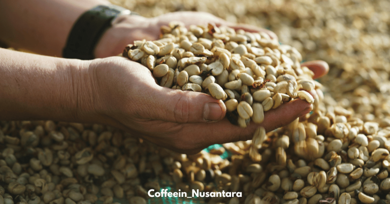 coffee processing methods