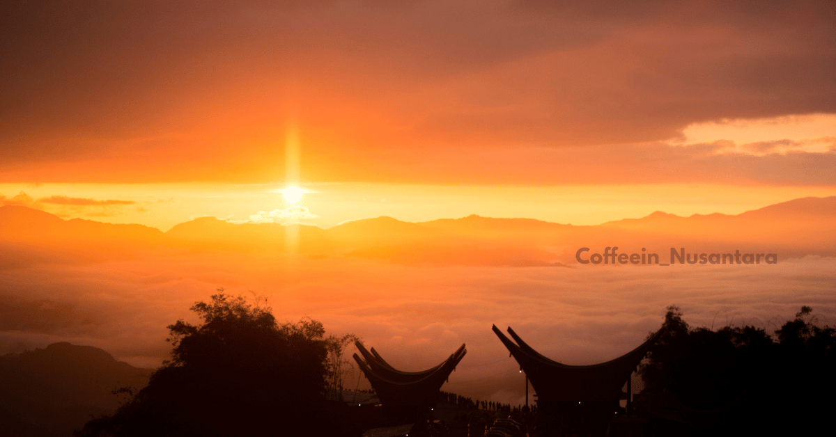 Toraja Coffee