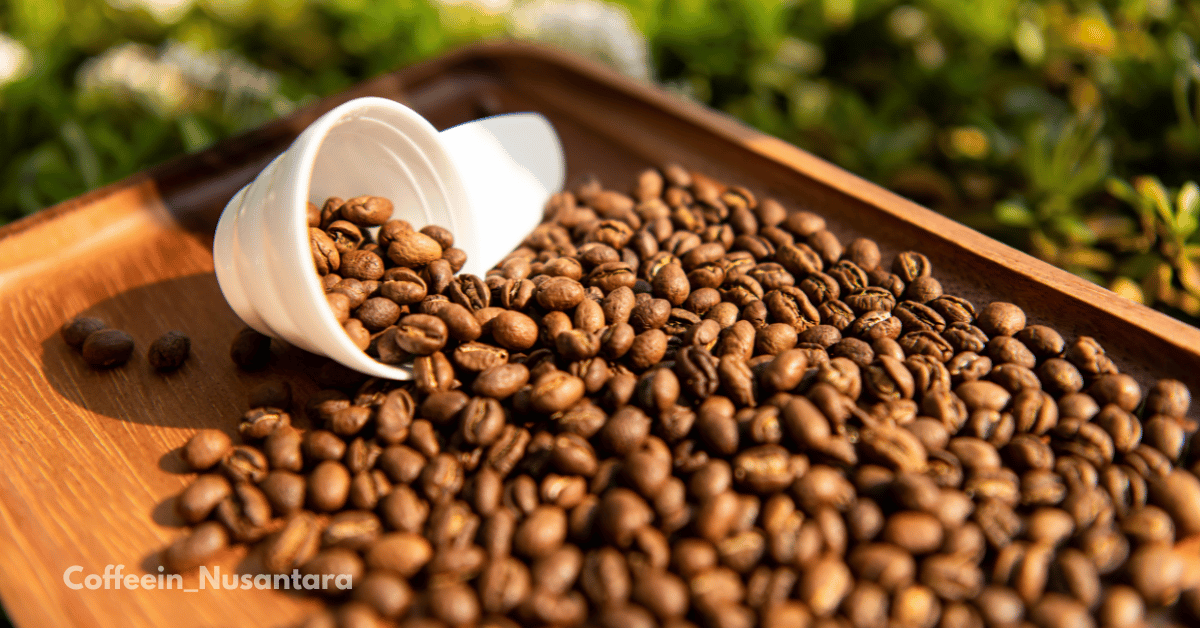 Peaberry vs Longberry