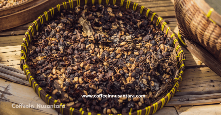 Civet Coffee