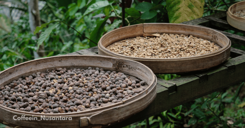 Indonesia coffee beans supplier