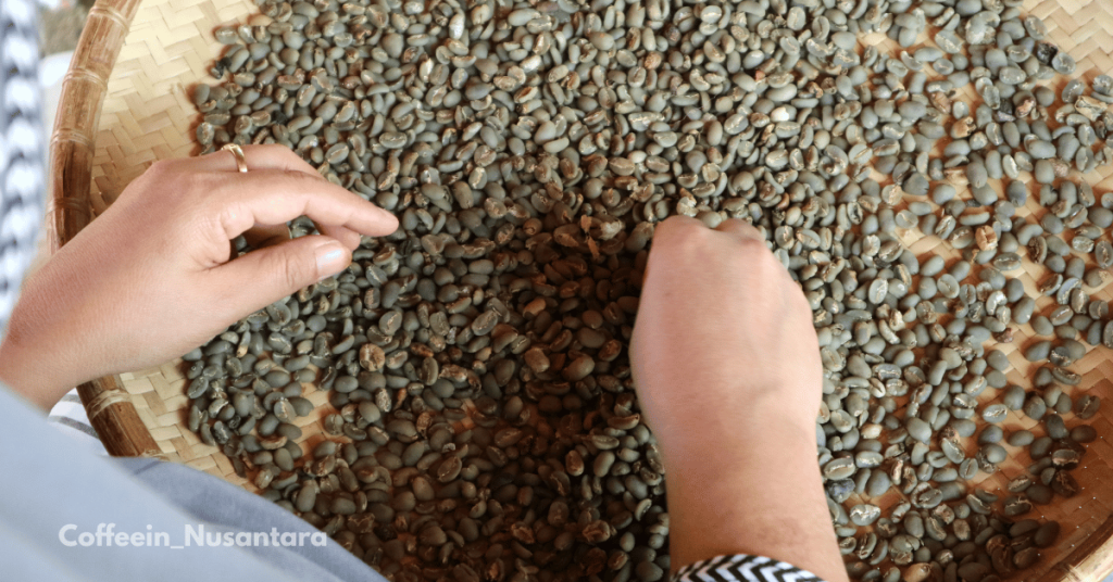 Indonesian green coffee beans