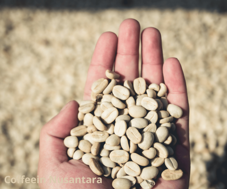 Indonesian green coffee beans supplier export quality