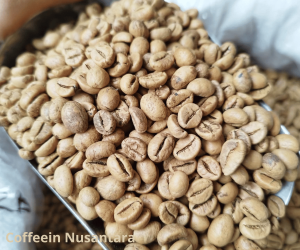 Coffee Exporter Indonesia for Global Buyers