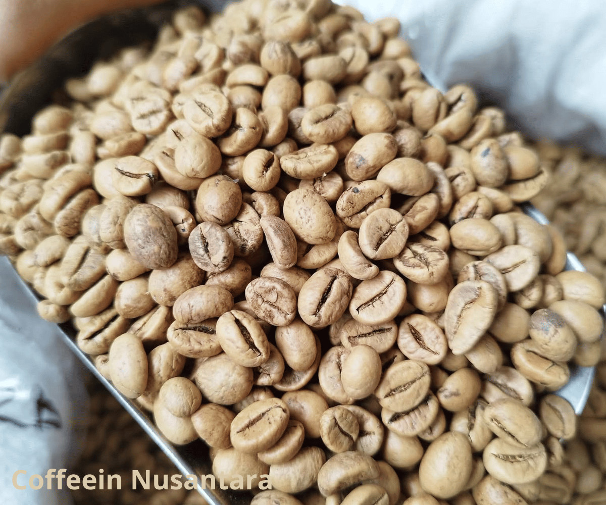 Coffee Exporter Indonesia for Global Buyers