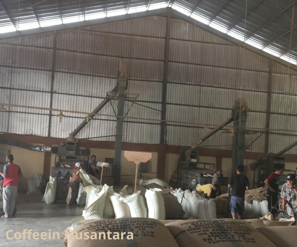 Coffee Exporter Indonesia for Global Buyers